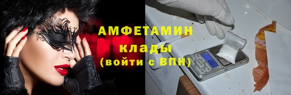 стаф Абинск