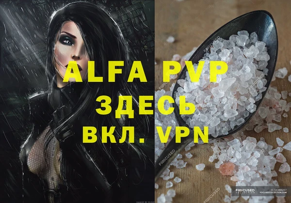 стаф Абинск