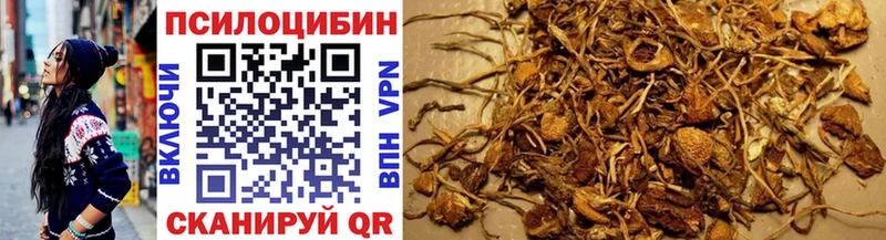 Псилоцибиновые грибы Psilocybe  ОМГ ОМГ зеркало  Кирсанов  даркнет Telegram  наркота 